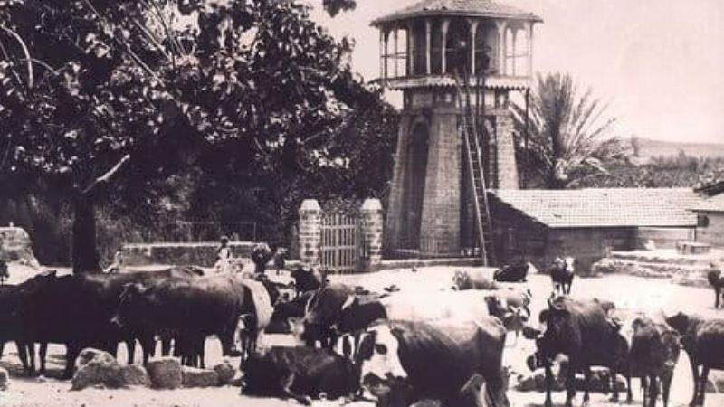 Landbrugskolonien Rishon LeZion i slutningen af 1800-tallet. Jorden blev opkøbt af velhavende jøder i Europa, som støttede de små jødiske samfund under osmannisk styre i området.